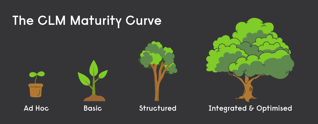 Maturity Curve